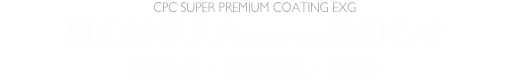 夏のお手入れ（雨染み・虫の死骸・鳥糞）についてのお知らせ