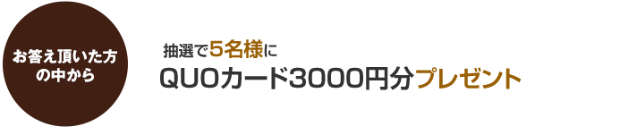 お答え頂いた方の中から5名様にENEOSのガソリンスタンド等で使える「ENEOSプリカ / 3000円券」